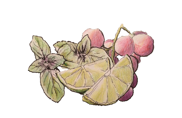 Limetten, Basilikum und Rosé Trauben