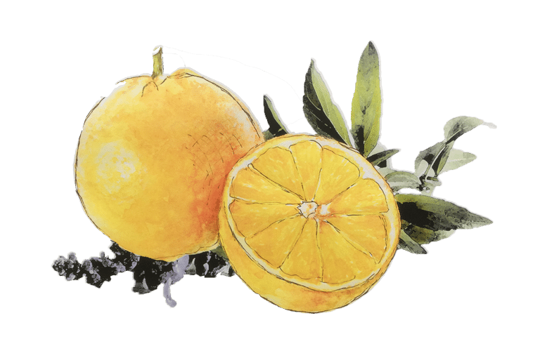 Orangen mit peruanischem Salbei