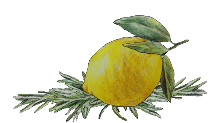 Zitrone mit Pinienrosmarin