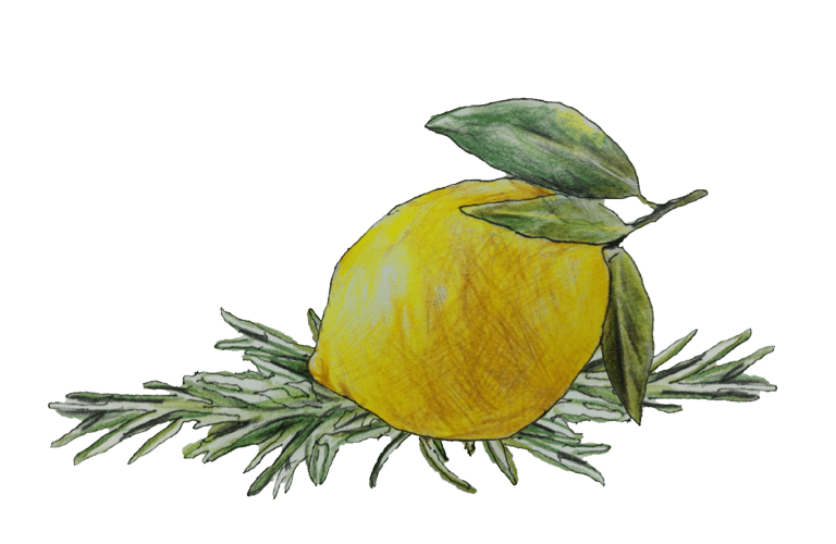 Zitrone mit Pinienrosmarin