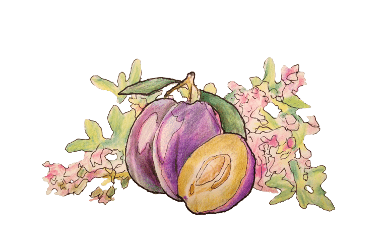 Zwetschken mit Thymian